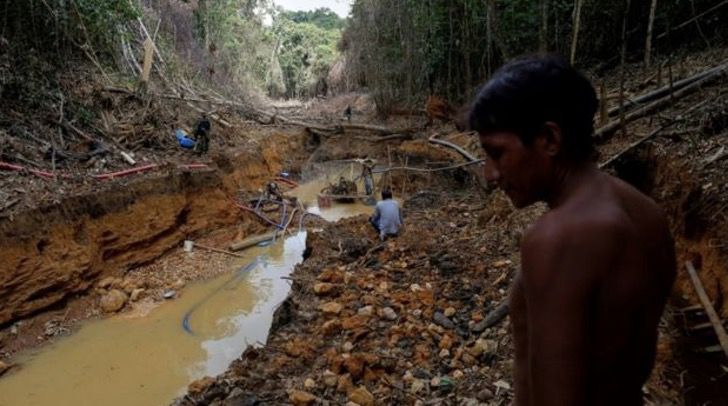 sabervivermais.com - A Amazônia é desmatada enquanto a atenção está na pandemia. Destruição aumentou 64%