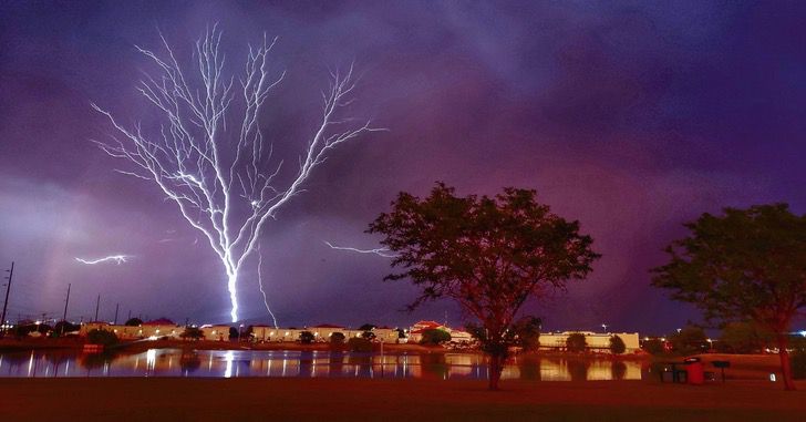 sabervivermais.com - O fotógrafo capturou a imagem de uma "árvore relâmpago" durante uma tempestade