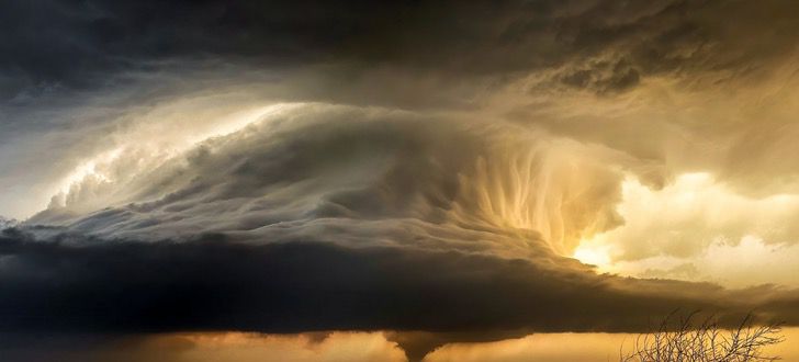 sabervivermais.com - O fotógrafo capturou a imagem de uma "árvore relâmpago" durante uma tempestade