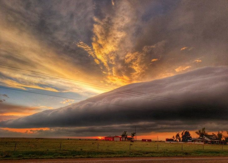 sabervivermais.com - O fotógrafo capturou a imagem de uma "árvore relâmpago" durante uma tempestade