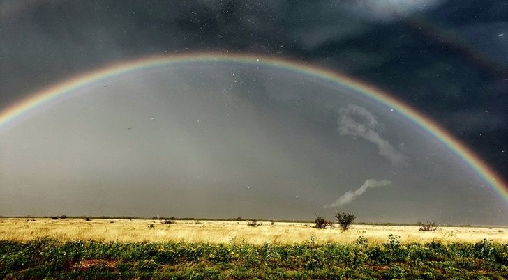 sabervivermais.com - O fotógrafo capturou a imagem de uma "árvore relâmpago" durante uma tempestade