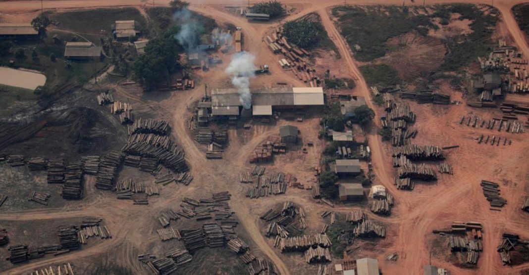 A Amazônia é desmatada enquanto a atenção está na pandemia. Destruição aumentou 64%