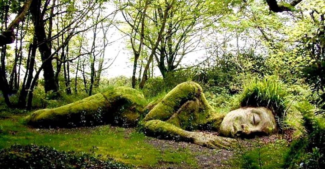 Escultura viva repousa em jardim na Inglaterra. Ela muda de acordo com as estações do ano