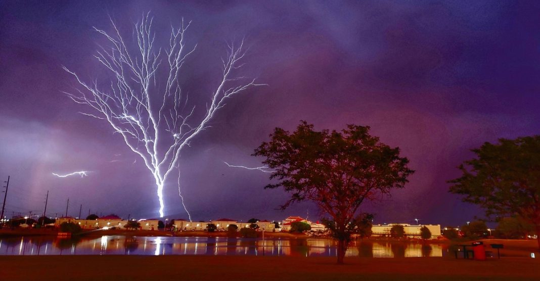O fotógrafo capturou a imagem de uma “árvore relâmpago” durante uma tempestade