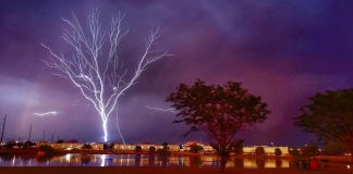 O fotógrafo capturou a imagem de uma “árvore relâmpago” durante uma tempestade