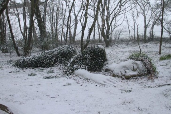 sabervivermais.com - Escultura viva repousa em jardim na Inglaterra. Ela muda de acordo com as estações do ano
