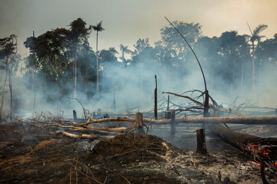 Especialistas afirmam que incêndios na Amazônia aumentam o risco de infecções graves de Covid-19