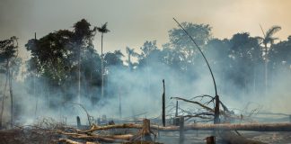 Especialistas afirmam que incêndios na Amazônia aumentam o risco de infecções graves de Covid-19