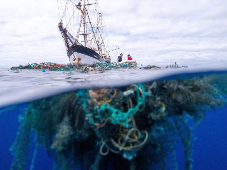 sabervivermais.com - O grupo havaiano bate o recorde mundial de maior limpeza plástica do oceano. Heróis do mar!