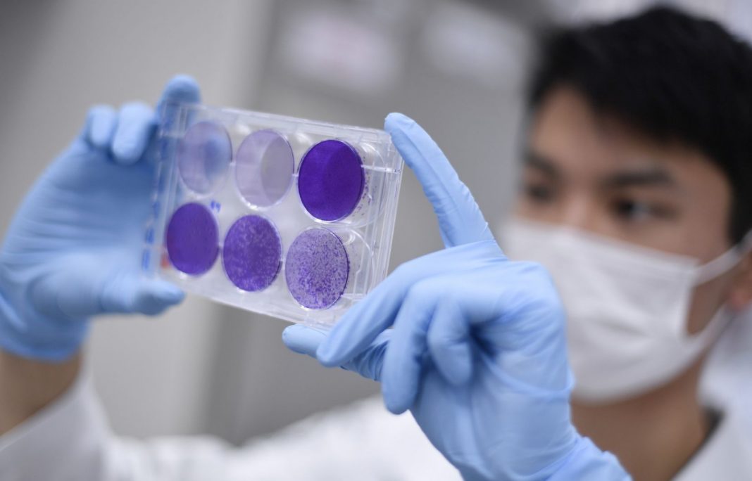 China identifica um novo vírus com potencial de se tornar “pandemia”