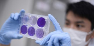 China identifica um novo vírus com potencial de se tornar “pandemia”