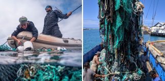 O grupo havaiano bate o recorde mundial de maior limpeza plástica do oceano. Heróis do mar!