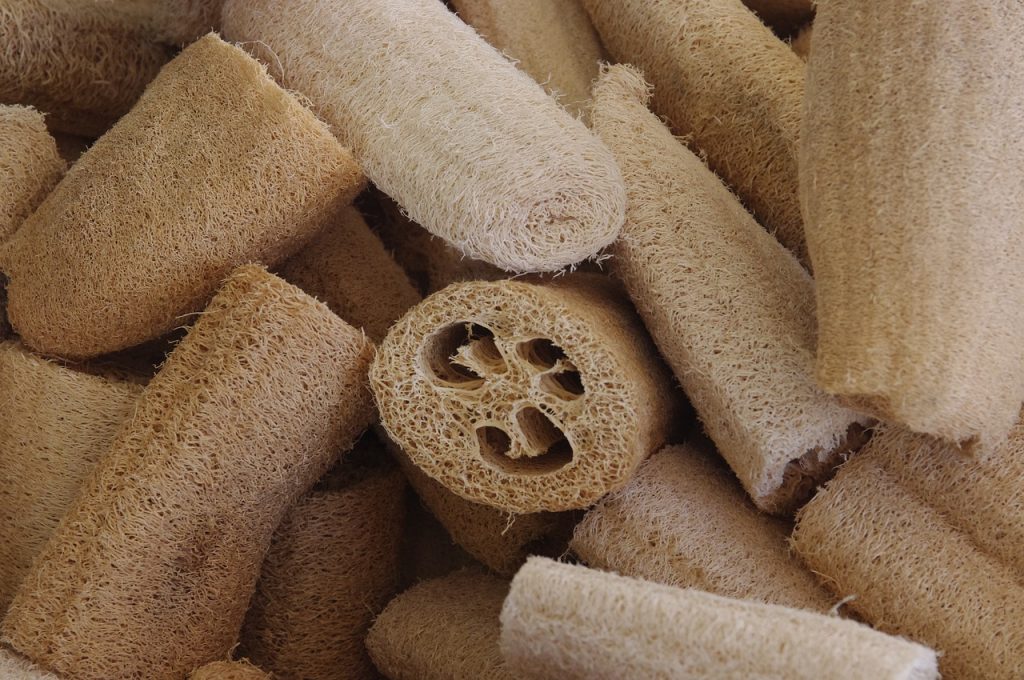sabervivermais.com - Cultive esponjas vegetais e livre-se das de plástico. Igualmente eficaz, mas biodegradável