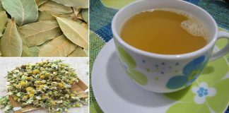 Chá de louro com camomila: melhora o sono, evita gripe e fortalece o sistema imunológico