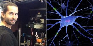 Cientista Mexicano desenvolve técnica para reprogramar neurônios afetados pelo mal de Alzheimer