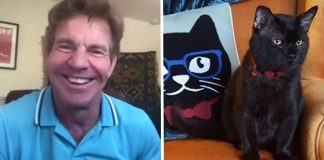 “Não resisti”: Dennis Quaid adotou um gato com o mesmo nome.