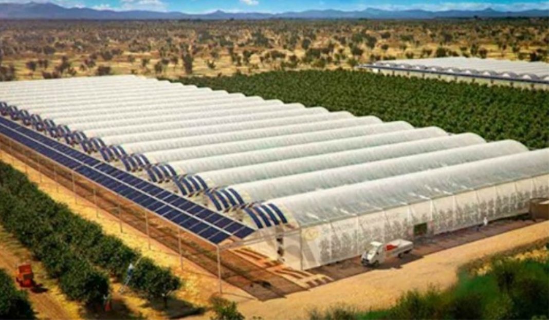 Fazenda solar produz 17.000 toneladas de alimentos sem pesticidas!