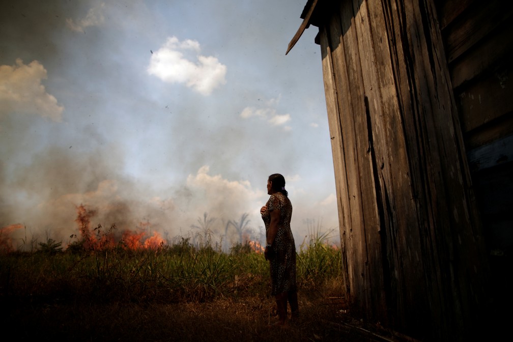 sabervivermais.com - Dados do Inpe mostram que Amazônia teve 1.359 km² sob alerta de desmatamento no mês de agosto