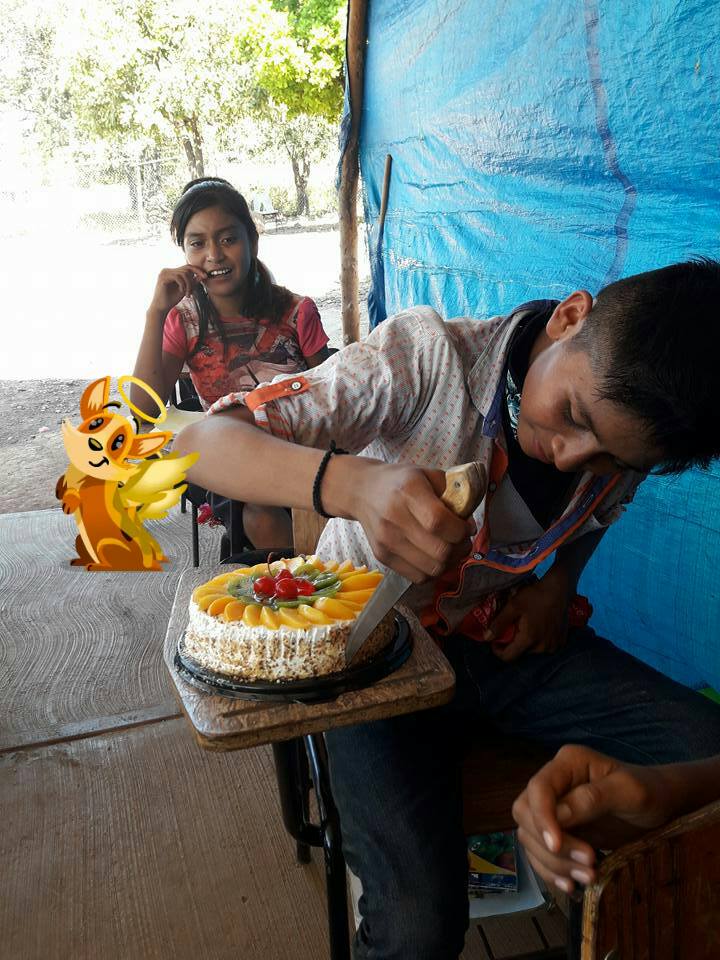 sabervivermais.com - Menino chora de felicidade quando sua professora lhe dá seu primeiro bolo de aniversário