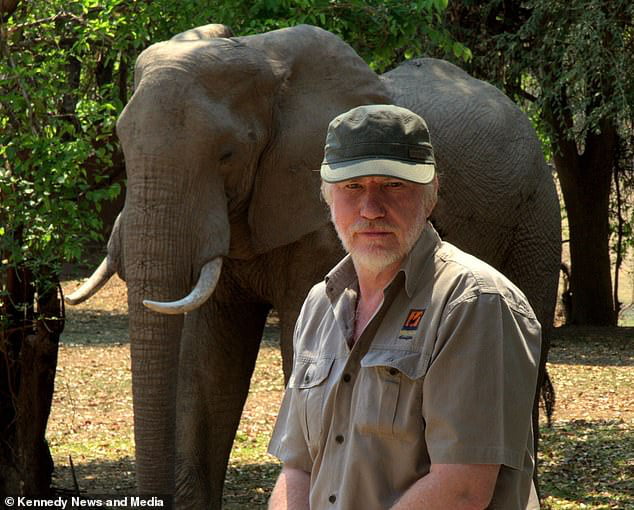 sabervivermais.com - Elefante escala agilmente uma parede de 2 metros para roubar mangas de um safári