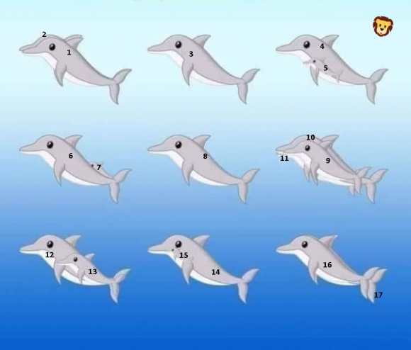 sabervivermais.com - Quantos golfinhos você consegue encontrar na imagem?