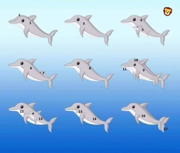 sabervivermais.com - Quantos golfinhos você consegue encontrar na imagem?