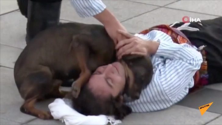 sabervivermais.com - Cão de rua interrompe uma peça para confortar o ator que fingia estar ferido.