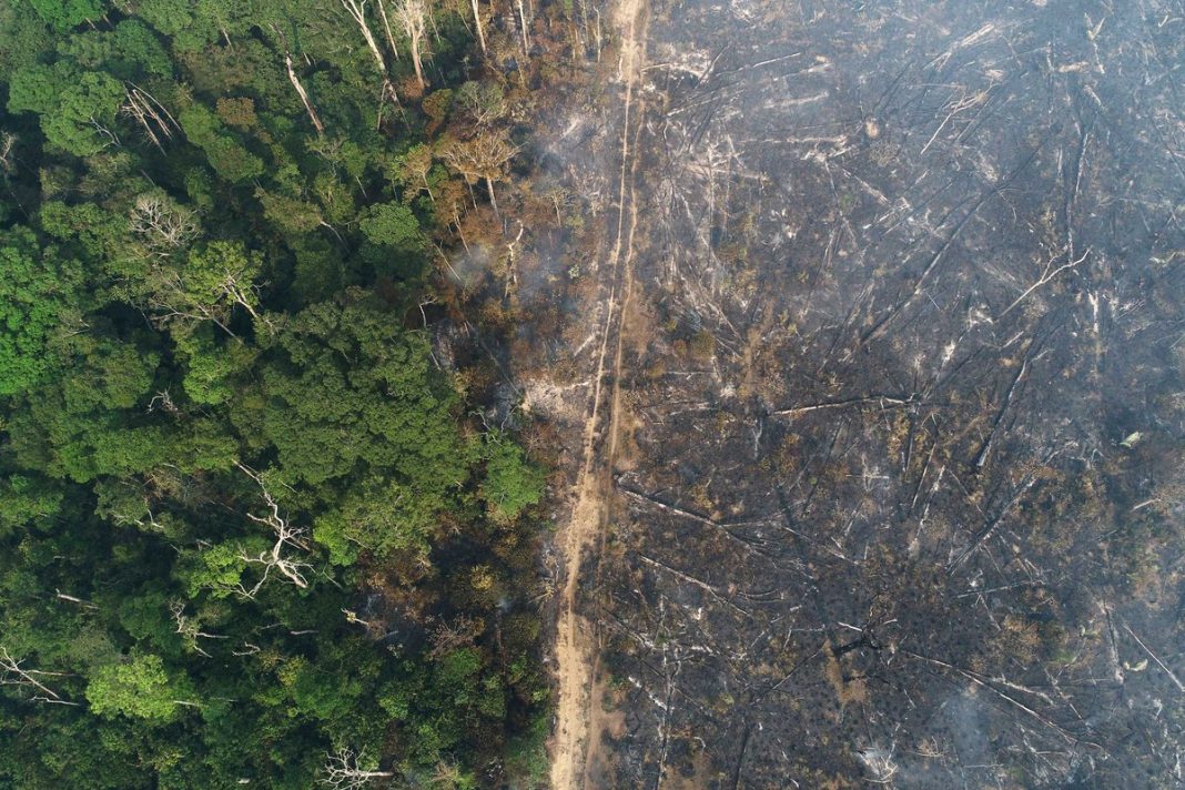 Dados do Inpe mostram que Amazônia teve 1.359 km² sob alerta de desmatamento no mês de agosto