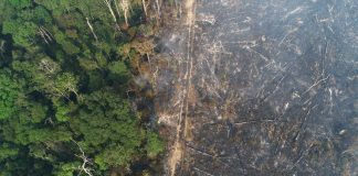 Dados do Inpe mostram que Amazônia teve 1.359 km² sob alerta de desmatamento no mês de agosto