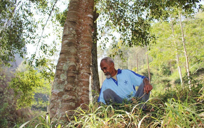 sabervivermais.com - Vovô de 68 anos plantou cerca de 11.000 árvores para trazer água de volta para a floresta