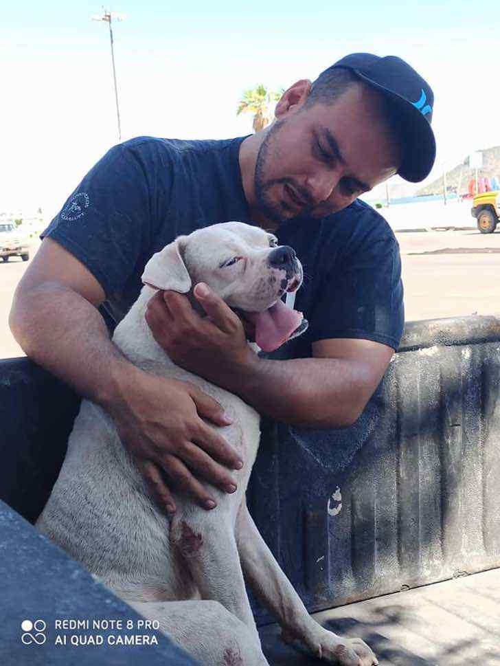sabervivermais.com - Dono leva seu cãozinho doente para um último passeio antes de seu descanso eterno. Juntos até o final!