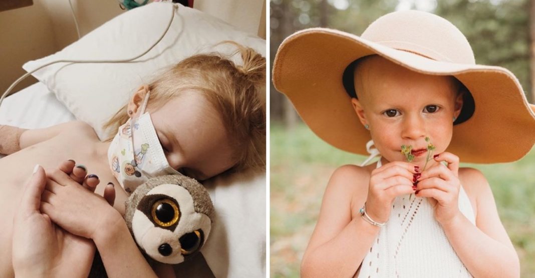 Menina de 4 anos vence o câncer e comemora com uma sessão de fotos. Ela sorriu de novo