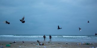 Voluntários retiram 360 kg de lixo da Praia Grande, após feriado extendido
