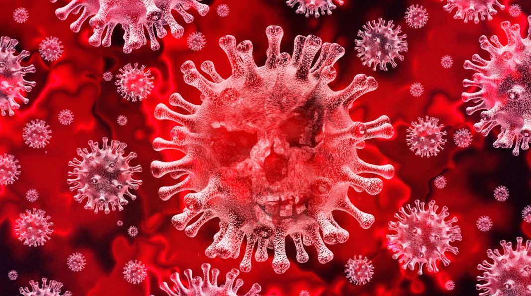 Covid-19: Sobreviventes produzem anticorpos que atacam o corpo