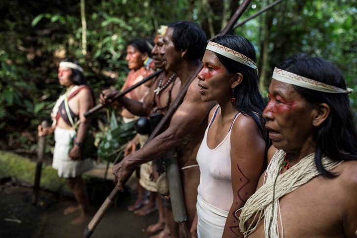 sabervivermais.com - Mulher indígena ganha prêmio ambiental em defesa da floresta amazônica equatoriana.
