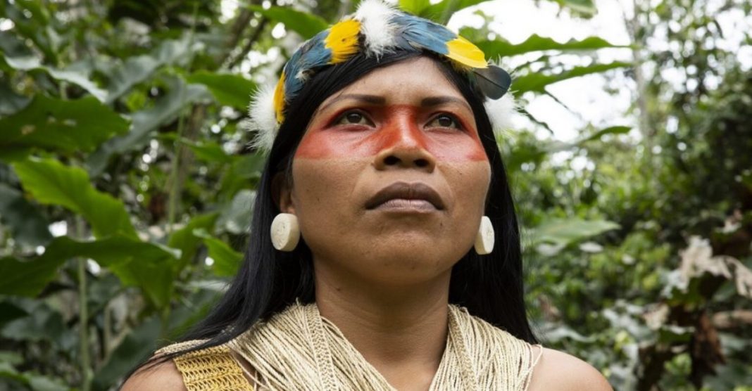 Mulher indígena ganha prêmio ambiental em defesa da floresta amazônica equatoriana.