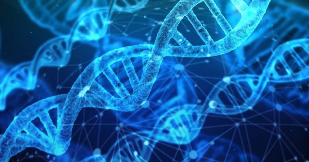 Como os óleos essenciais impactam nosso DNA