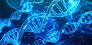 Como os óleos essenciais impactam nosso DNA