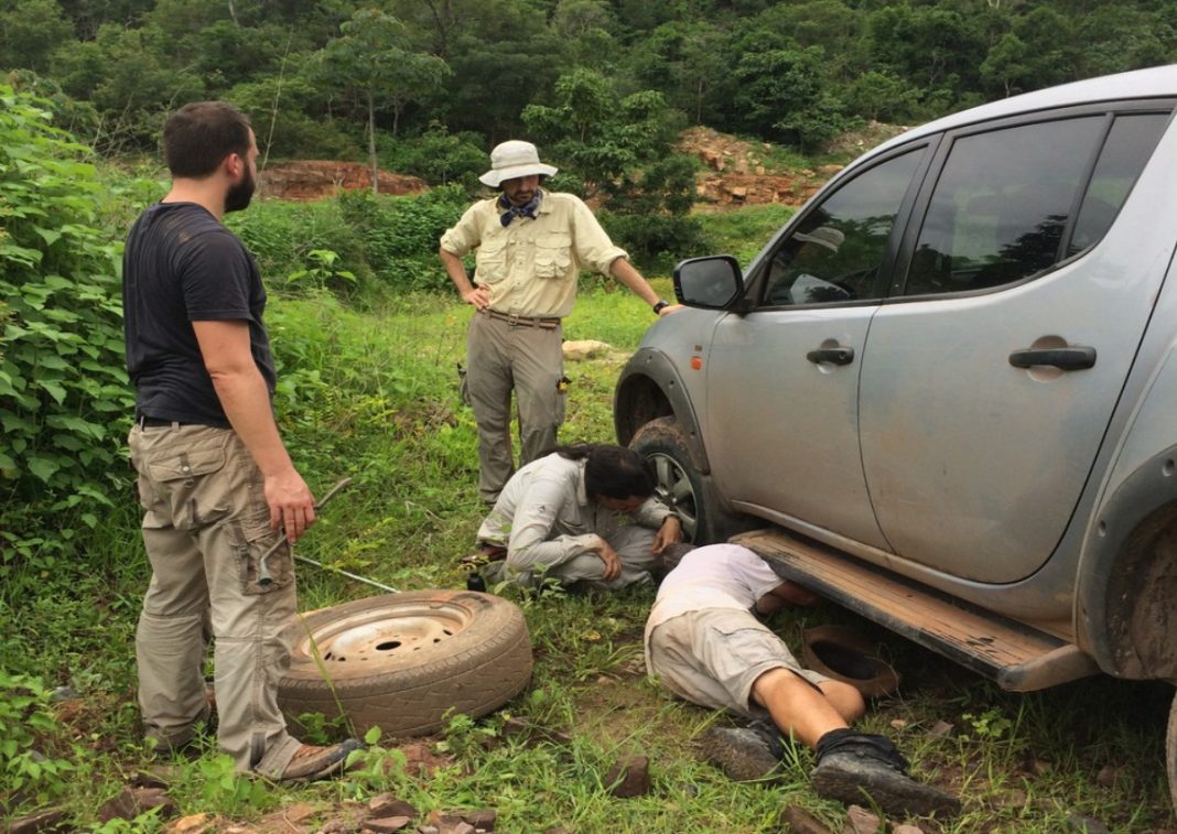 Pesquisadores da UFPI trocavam um  pneu quando descobriram réptil da Era Paleozoica