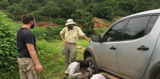Pesquisadores da UFPI trocavam um  pneu quando descobriram réptil da Era Paleozoica
