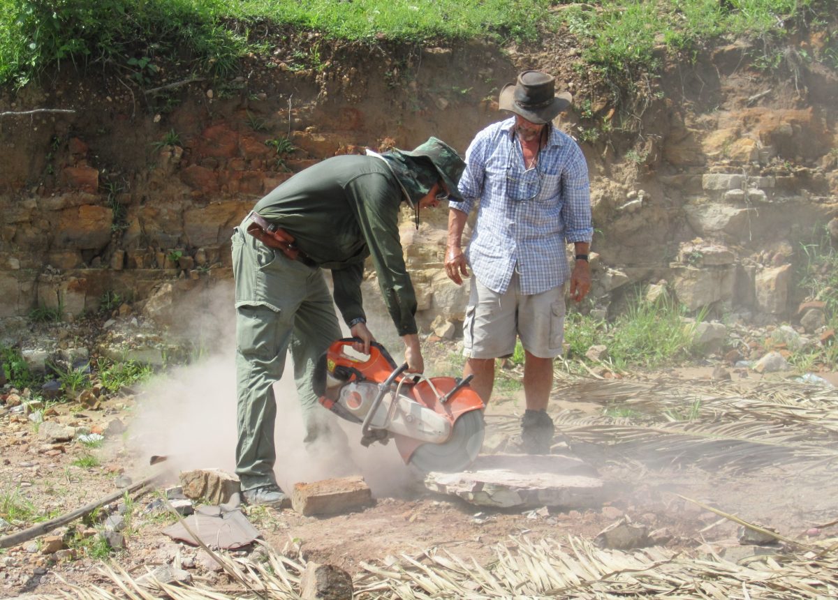 sabervivermais.com - Pesquisadores da UFPI trocavam um  pneu quando descobriram réptil da Era Paleozoica