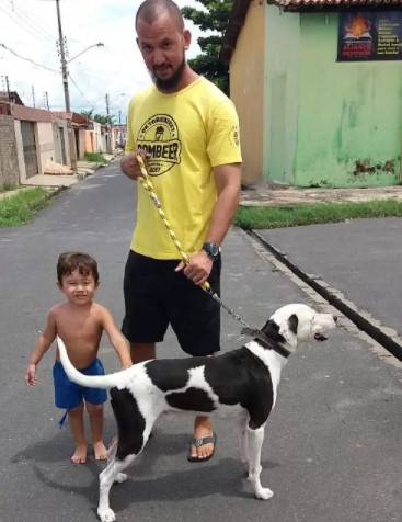 sabervivermais.com - Após um ano perdido cãozinho reecontra garoto que era seu dono. O menino nunca parou de perguntar por ele