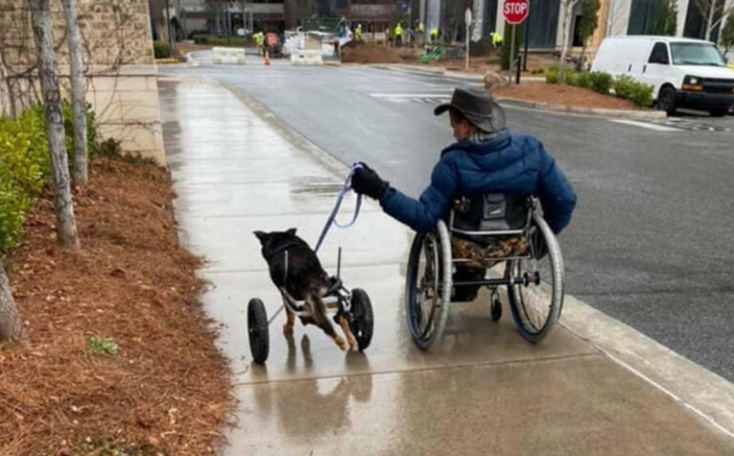 Cachorrinho que tinha deficiência foi devolvido 4 vezes até achar um dono que o entendia completamente