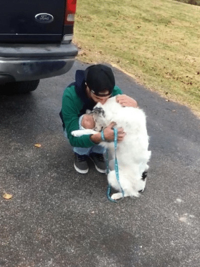 sabervivermais.com - O cachorro maltratado n&atilde;o para de abra&ccedil;ar seu novo dono. Eu esperei muito por aquele momento