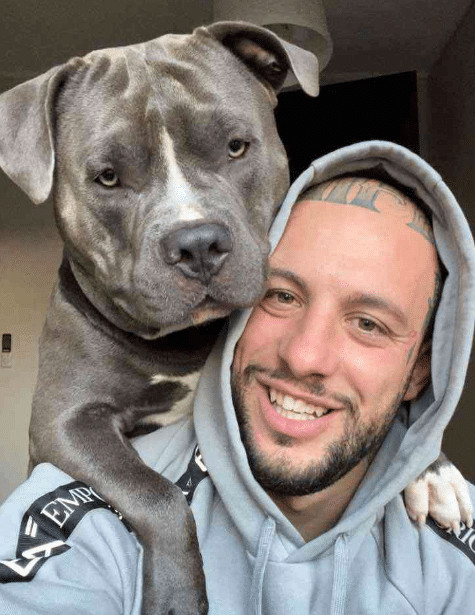 sabervivermais.com - Cachorrinho ouviu os batimentos card&iacute;acos do beb&ecirc; de sua dona e lambeu a barriga emocionado: "Ele vai ser o melhor irm&atilde;o"