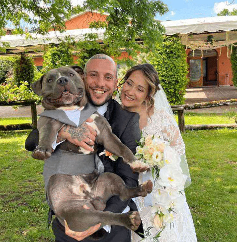 sabervivermais.com - Cachorrinho ouviu os batimentos card&iacute;acos do beb&ecirc; de sua dona e lambeu a barriga emocionado: "Ele vai ser o melhor irm&atilde;o"