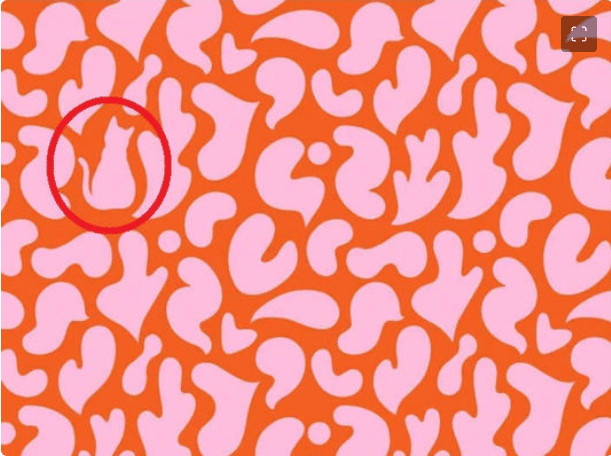 sabervivermais.com - Ilus&atilde;o de &oacute;tica: voc&ecirc; consegue encontrar um gato nessa imagem em 6 segundos?