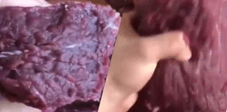 Vídeo bizarro de carne reagindo ao sal está levando pessoas a se tornarem vegetarianas