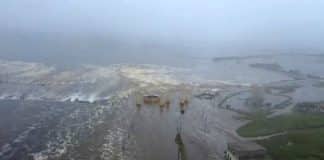 Tsunami Devastador na Rússia: O Tremor de 8,8 que Parou o Pacífico