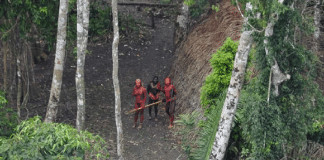 Povos que nunca tiveram contato com a civilização são filmados por drones na Amazônia